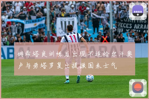 姆希塔良训练后出现不适恰尔汗奥卢与劳塔罗复出提振国米士气