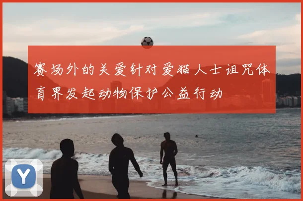 赛场外的关爱针对爱猫人士诅咒体育界发起动物保护公益行动