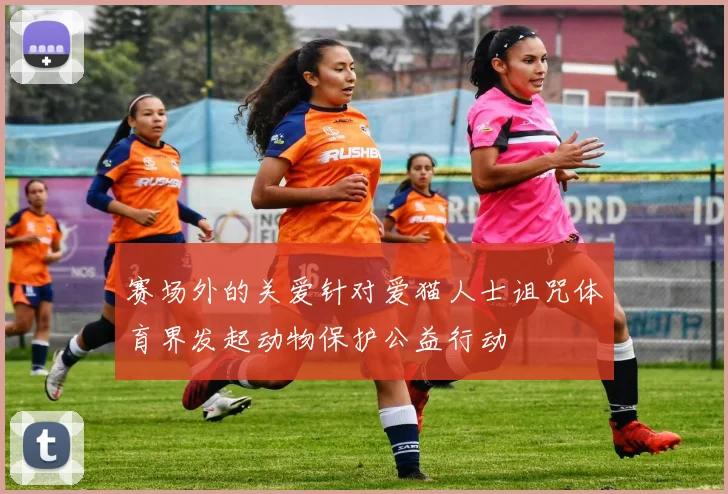 赛场外的关爱针对爱猫人士诅咒体育界发起动物保护公益行动