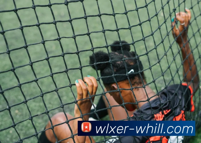 威廉希尔Asia官网平台生态图